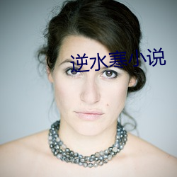 逆(逆)水寒(寒)小说
