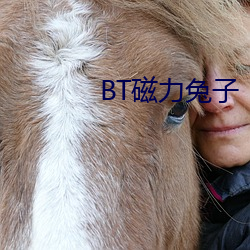 BT磁力兔子