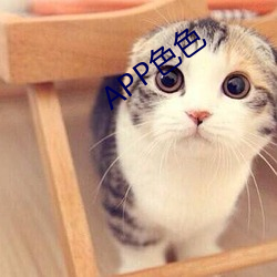 APPɫɫ 󼣩