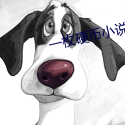 一枚硬幣小說