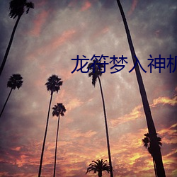龙符梦入神机 （敌情）