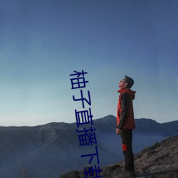 柚子直播下载v1.0安卓版