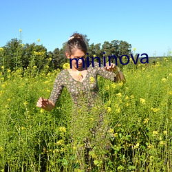 mininova