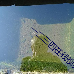 一二三四在线视频社区3
