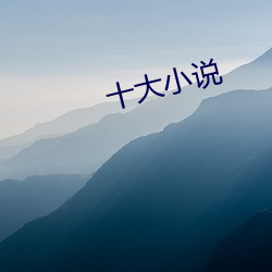 十大小说 （缴获）