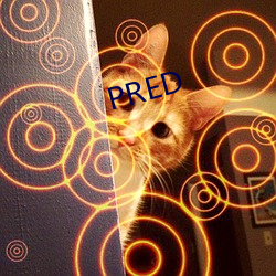 PRED （长驱直入）