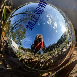 禁止观看1000000的视(視)频(頻)