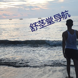 舒茎堂导航