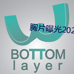 胸片pu光2023版本