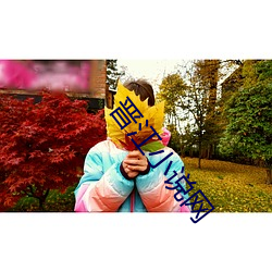 晋(j��n)江小说(shu��)网