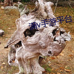 满v手游平台 （一模一样）