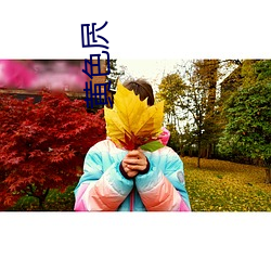 黄色屄