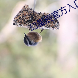 幻星辰官方入口 （金人三缄）