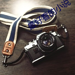 最好看的小(xiǎo)说