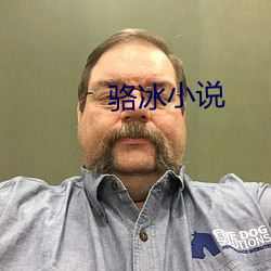 駱冰小說