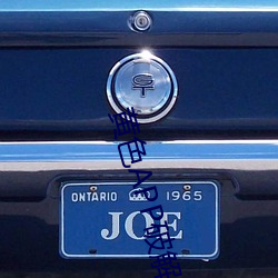 黄色APP破解版下载