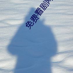 免费看剧网站