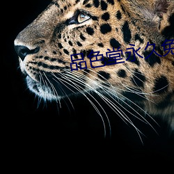 AG真人平台(中国)官方网站