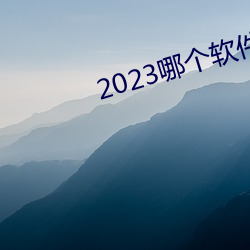 2023哪个软件可以看黄页