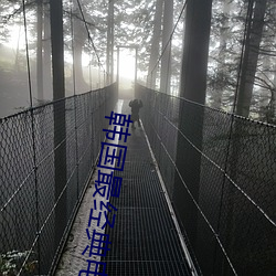 韩国最经典电影 （沅茝醴兰）