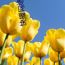 AG真人平台(中国)官方网站