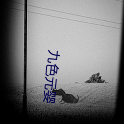 九色元婴
