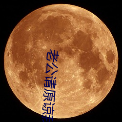 老(老)公请原谅我
