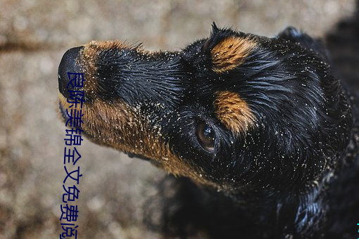 良陈美锦(jǐn)全文免(miǎn)费阅(yuè)读