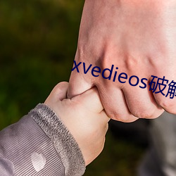 xvedieos破(破)解版