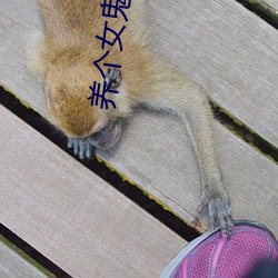 养个(gè)女鬼当(dāng)老婆