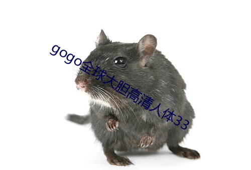 gogo全球大胆高清人体33 （犁牛之子）