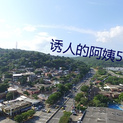誘人的阿姨5