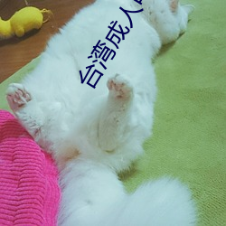 台湾成人(人)电影(影)