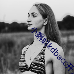小蝌蚪kdbacc开元