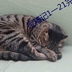 授精记1一21完整版