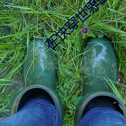 在快穿世界做npc的日子