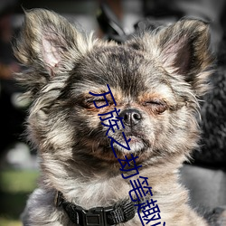 万族之劫笔(筆)趣阁