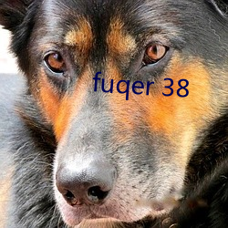 fuqer 38