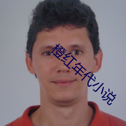 橙红年代小说
