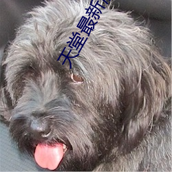 尊龙凯时·(中国)官方网站
