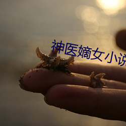 suncitygroup太阳集团--官方网站