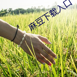 麻豆下载入(rù)口(kǒu)