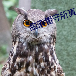 甜蜜看守所真人版