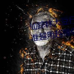 仙蹤林大豆行情網www人:推薦精准越用越懂你