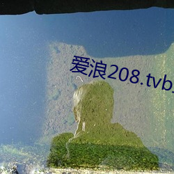 愛浪208.tvb直播