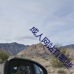 成人网(wǎng)站(zhàn)有哪些