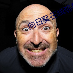 向日葵在线观看