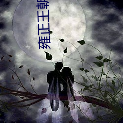 雍正王朝小說