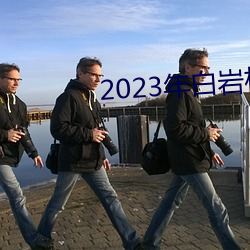 2023年白岩松到底犯了什么