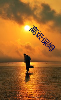 高级保(bǎo)姆(mǔ)